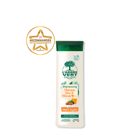 Shampooing Cheveux Secs et Abîmés Parfum Miel & Jojoba 250 mL