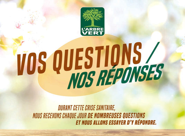 COVID-19 : VOS QUESTIONS NOS REPONSES